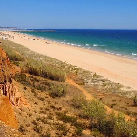 Fineli * Vilamoura